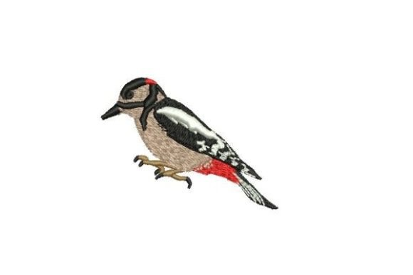 Great Spotted Wood Pecker