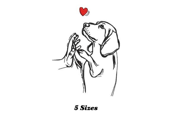 Human Hand and Dog s Paw Review