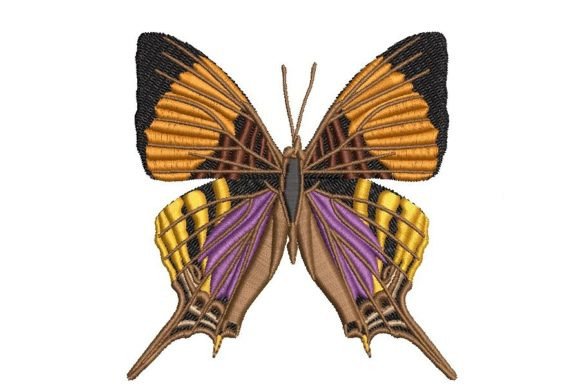 Marpesia Butterfly Review for Boutique Apparel